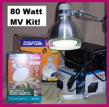 80w kit.jpg
