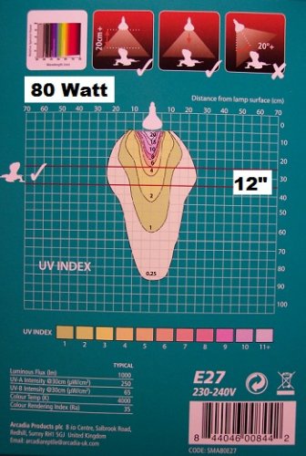 80 w 12.jpg