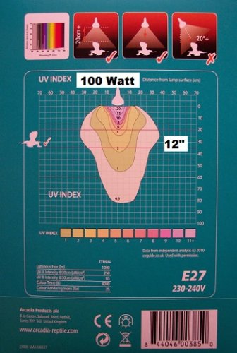 100 w 12.jpg