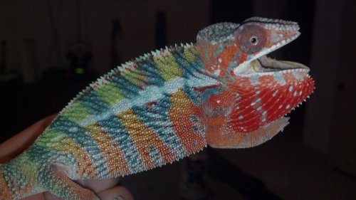 2012-11-01_18-40-44_197.jpg