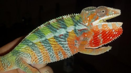 2012-11-01_18-40-58_526.jpg