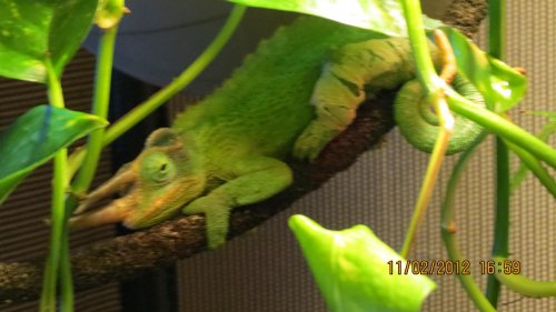 IMG_2771.jpg