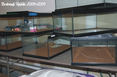 GlassTanks400x266.jpg