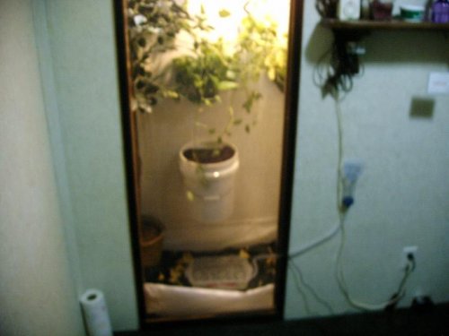 IMAG0004.JPG