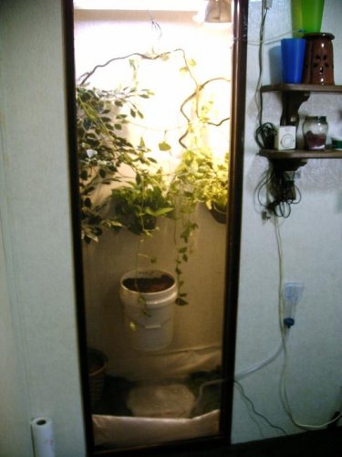IMAG0020.JPG
