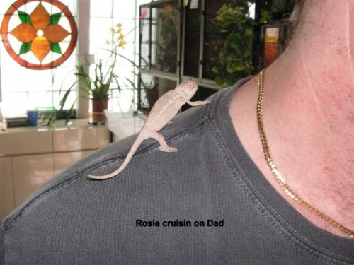 Cruisin on Dad1.jpg