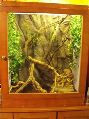 2008_12270032 (Small).JPG