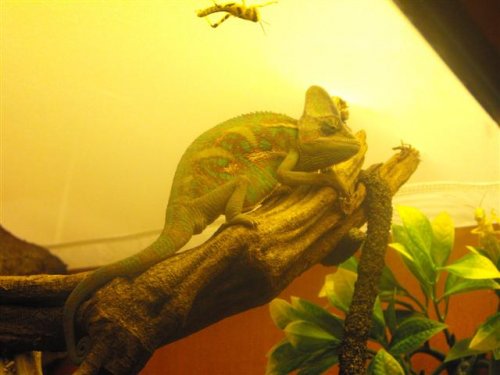 2008_12270034 (Small).JPG