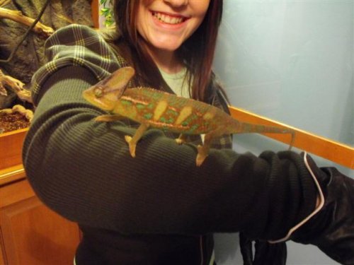 2008_12270036 (Small).JPG