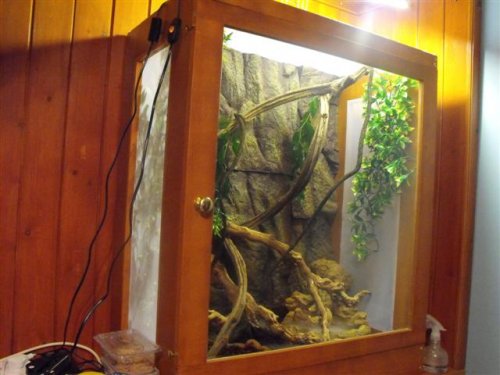 2008_12270041 (Small).JPG