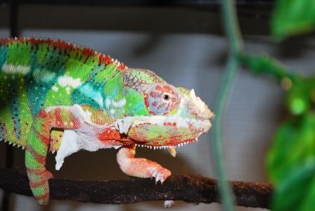 December 2008 067 compressed.jpg