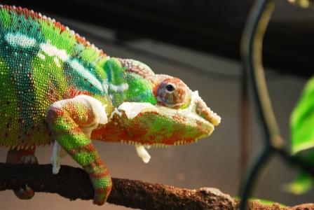 December 2008 073 compressed.jpg