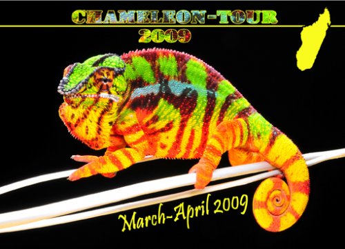 cham-tour2009.jpg