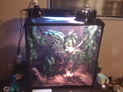 Baby Bari and Baby Tiga, and everything in between 067.jpg