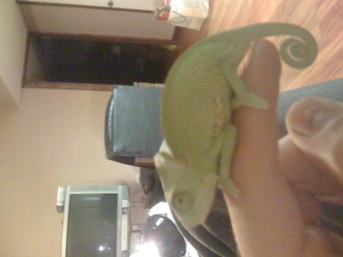 Baby Bari and Baby Tiga, and everything in between 119.jpg