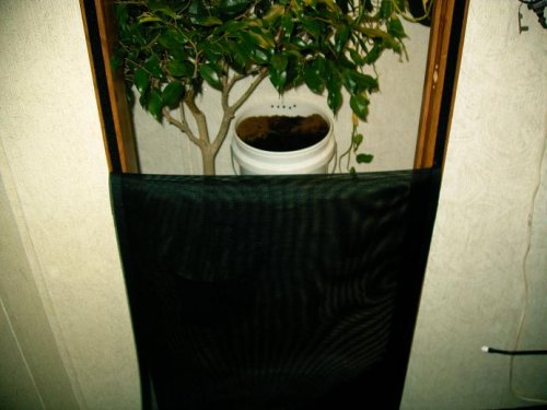 cham enclosure 1-8-09 3.JPG