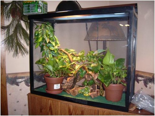 newcageaddition.jpg