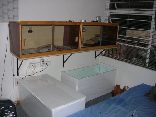 DSCN3333.JPG