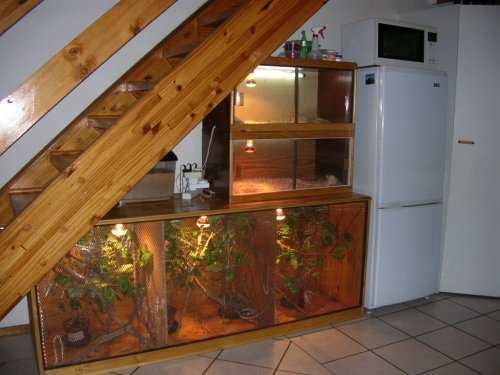 DSCN3334.JPG