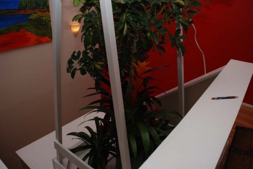 DSC_0108 smaller.jpg