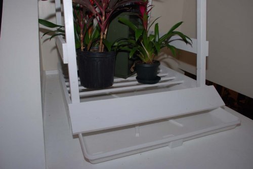 DSC_0117 smaller.jpg