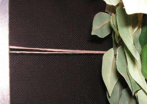 string.jpg