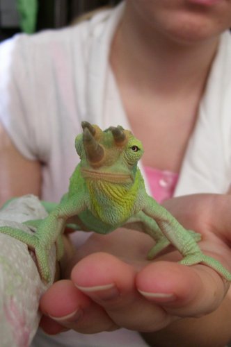 twitch posing 2.jpg