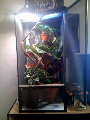 photo(2).jpg