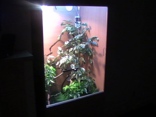 27th Jan 09.JPG