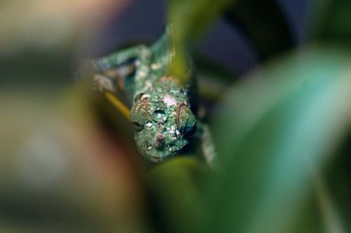 DSC_1852.jpg