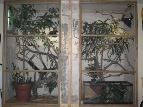 Side by side Mellers Cages0001.jpg