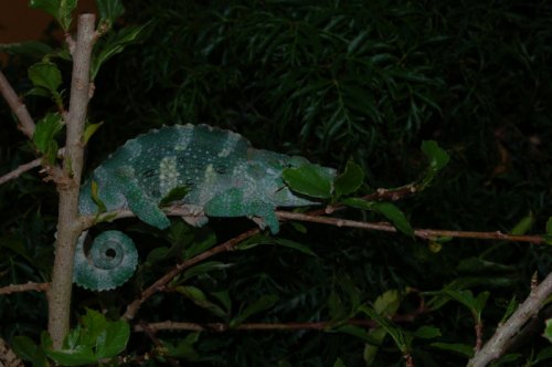 DSC_1989.jpg