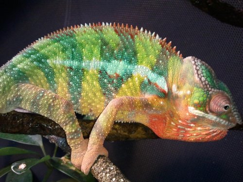 2012-10-31 13.19.48 (1).jpg