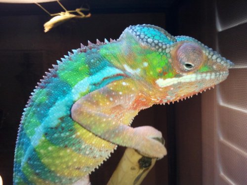 2012-10-31 13.21.20 (1).jpg