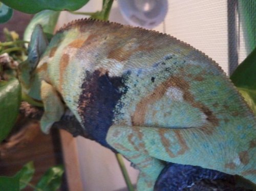 2012-11-03 18.14.48.jpg