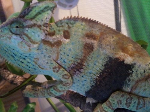 2012-11-03 18.17.05.jpg