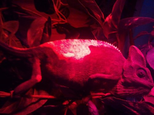 2012-11-03 22.05.29.jpg