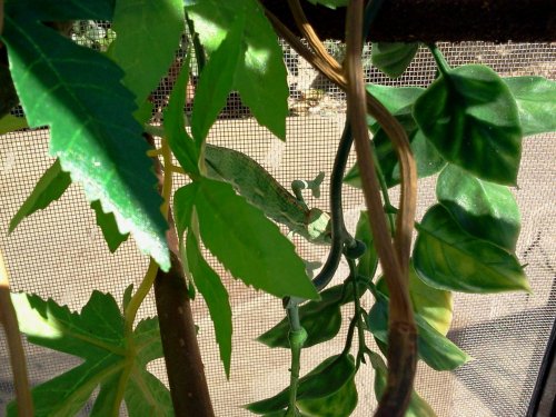 2012-11-04 13.39.31.jpg