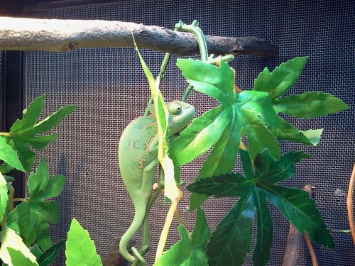 2012-10-26 20.45.23.jpg