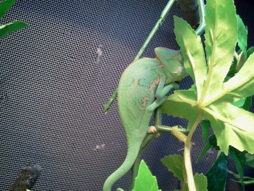 2012-10-26 20.45.34.jpg