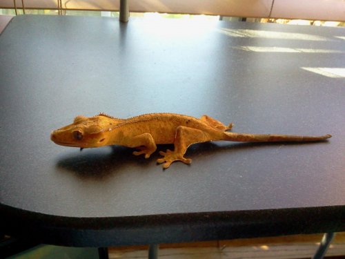 2012-11-04 13.34.24.jpg