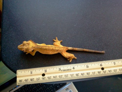 2012-11-04 13.35.08.jpg