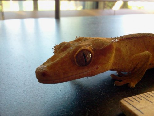 2012-11-04 13.35.31.jpg