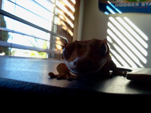 2012-11-04 13.35.46.jpg