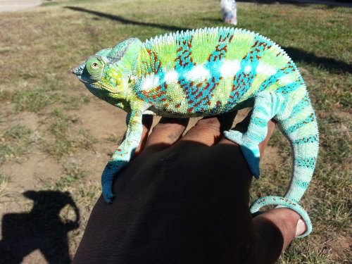 20121104_125455.jpg