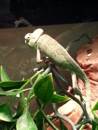 20121105_163037.jpg