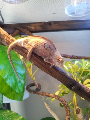 20121025_094305.jpg