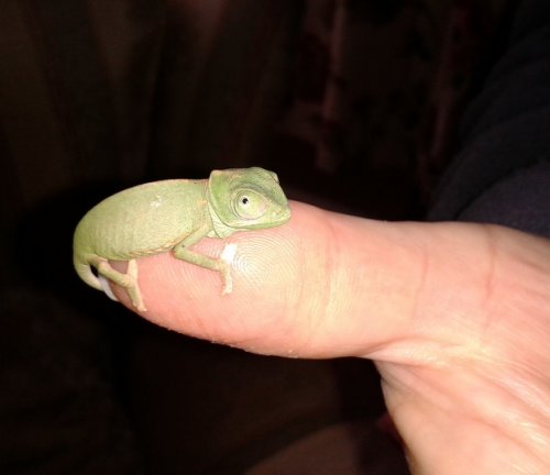 2012-11-08 13.29.09.jpg