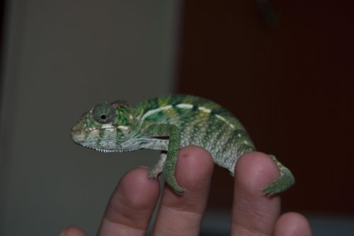 DSC_1241.jpg