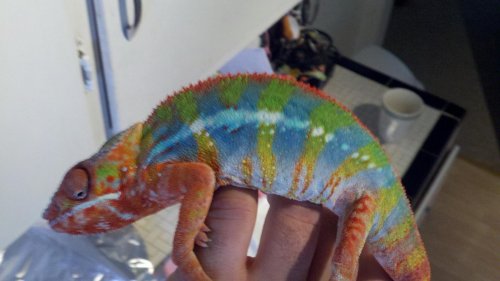 2012-10-06_13-08-20_884.jpg